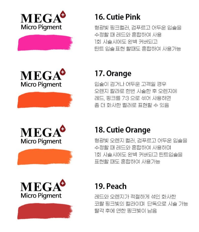 MEGA Semi-Permanent Micro Pigment (for machine) / lip color (1)