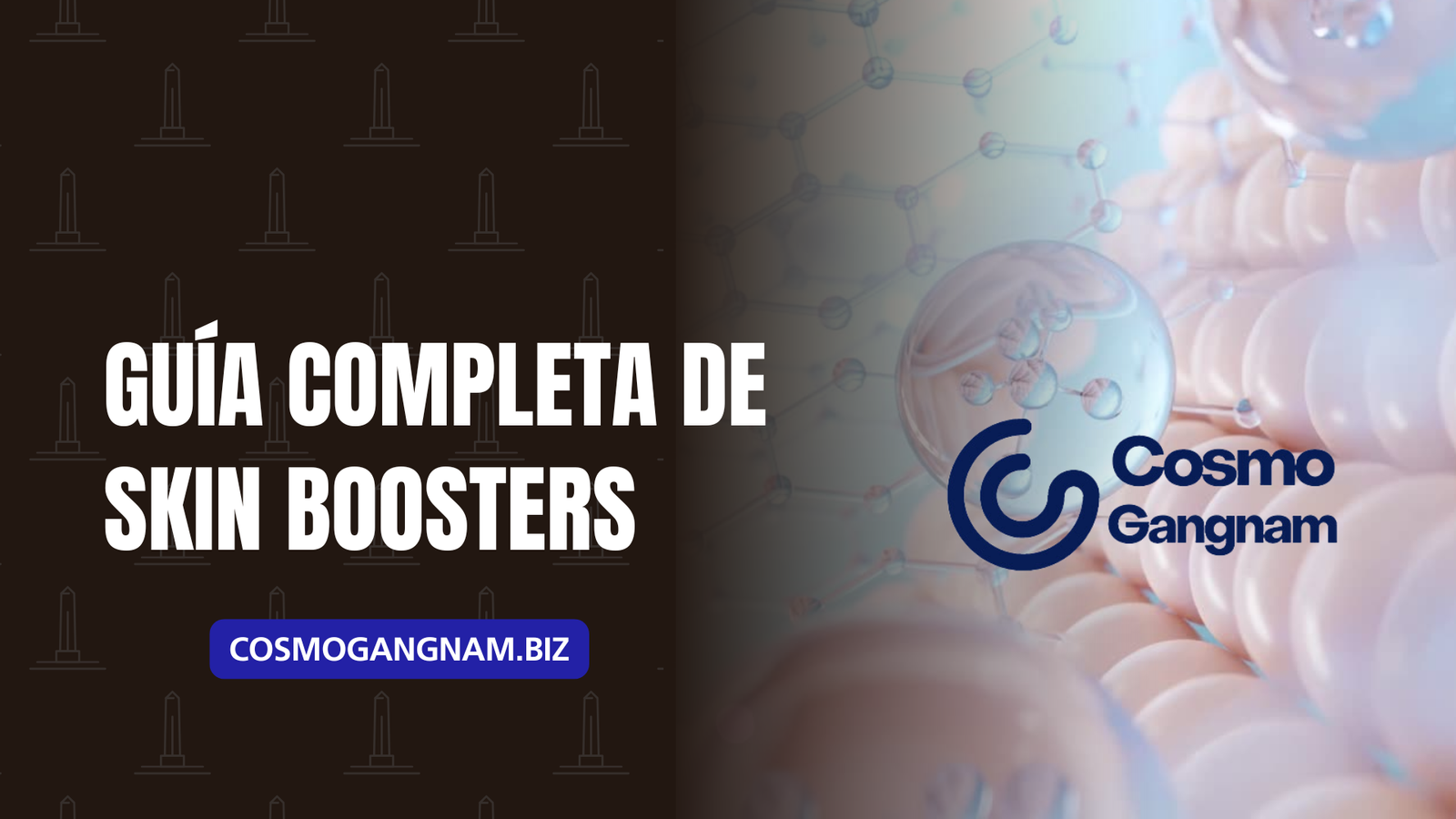 Guía Completa de Skin Boosters